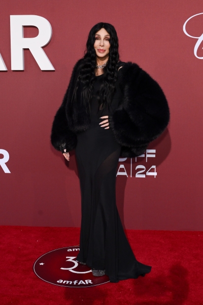 Cher Had the Wackiest Accessories at the AmFAR Gala