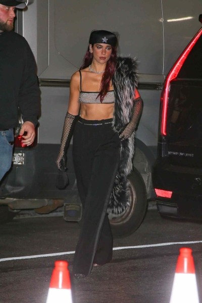 Dua Lipa hosted a 2024 Met Gala after-party in New York City while wearing a crystal-studded crop top and fishnet gloves. See her full look here.