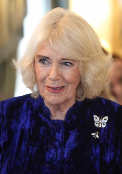 Queen Camilla sported a blue velvet dress paired with her moth brooch for a Christmas tree decorating event at Clarence House.