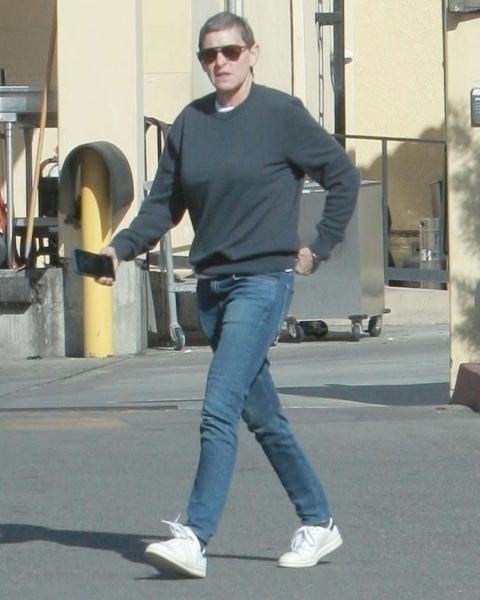 Ellen DeGeneres was seen with salt and pepper gray hair, an updated look from her usual blonde, while out in Montecito, California on January 14, 2025.