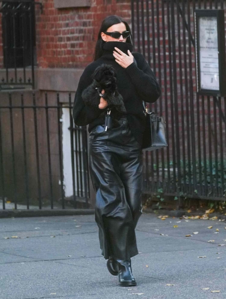 Irina Shayk borrowed her 7-year-old daughter Lea De Seine's bunny bag to walk her dog, Peanut, in New York City on Friday, January 17.