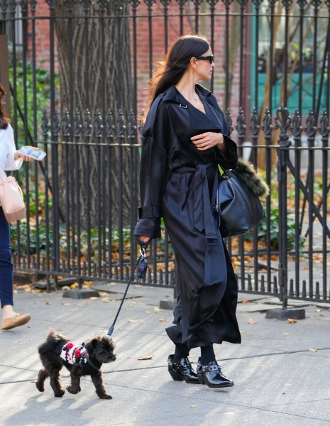 Irina Shayk Takes Her Teeny Dog for a Walk in Her Big Tabi Boots